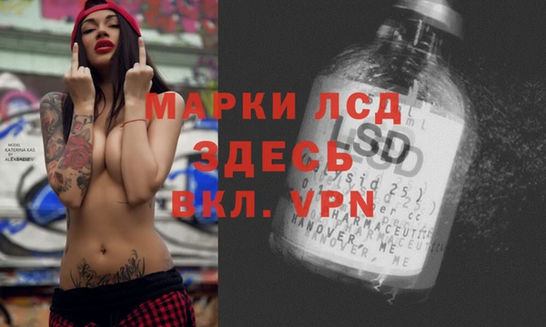 стаф Нефтекумск